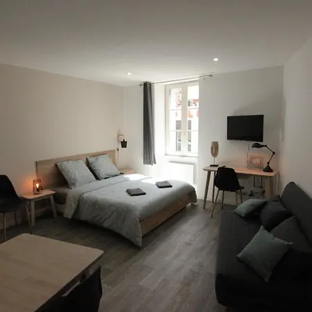Jolis Au Coeur De Ferrand - Proche Jaude - Wifi Et Netflix *