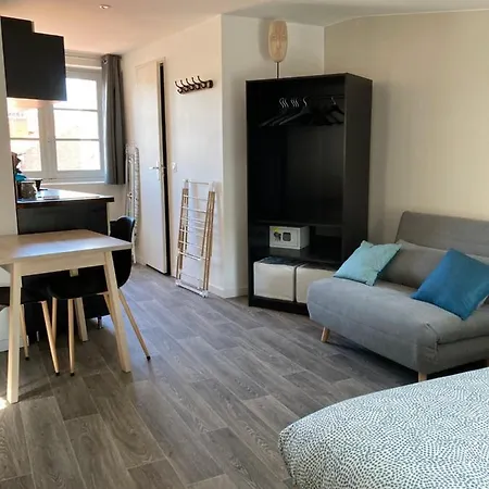 Jolis Au Coeur De Ferrand - Proche Jaude - Wifi Et Netflix *