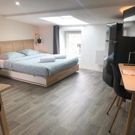 Jolis Au Coeur De Ferrand - Proche Jaude - Wifi Et Netflix Διαμέρισμα *