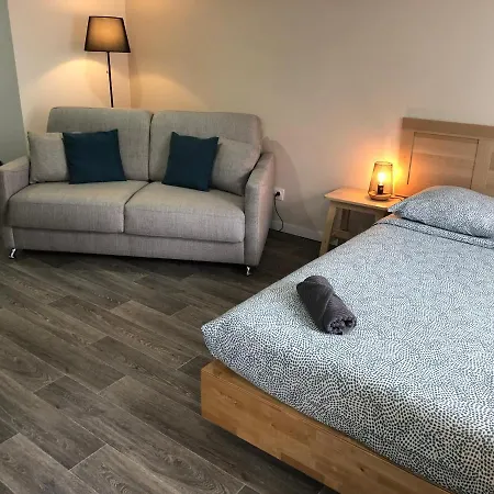 Jolis Au Coeur De Ferrand - Proche Jaude - Wifi Et Netflix *