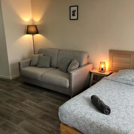 Jolis Au Coeur De Ferrand - Proche Jaude - Wifi Et Netflix *