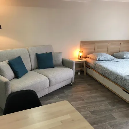Jolis Au Coeur De Ferrand - Proche Jaude - Wifi Et Netflix Διαμέρισμα