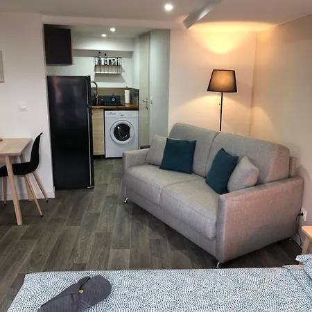 Jolis Au Coeur De Ferrand - Proche Jaude - Wifi Et Netflix Διαμέρισμα *