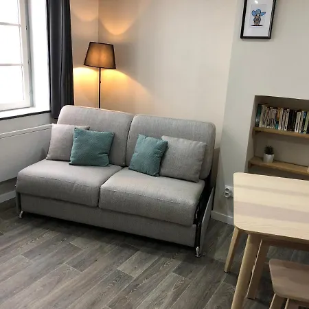 Διαμέρισμα Jolis Au Coeur De Ferrand - Proche Jaude - Wifi Et Netflix