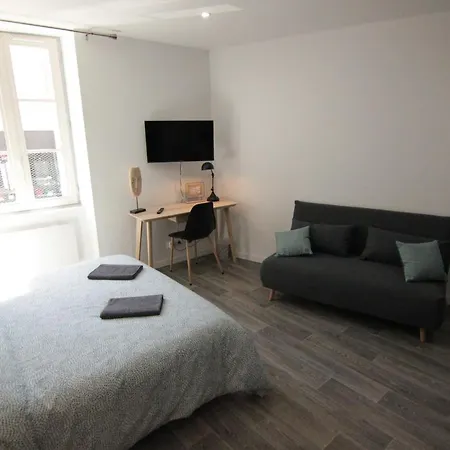 Jolis Au Coeur De Ferrand - Proche Jaude - Wifi Et Netflix Apartment