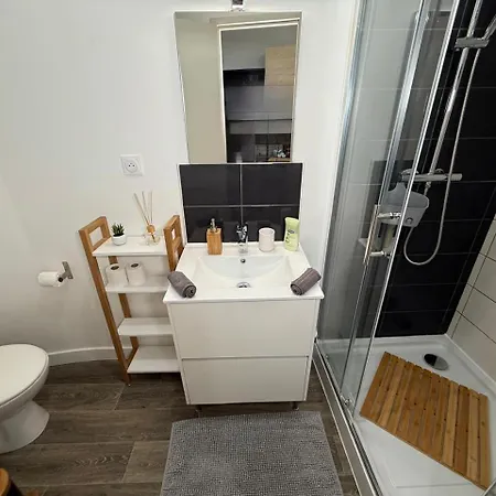 Jolis Au Coeur De Ferrand - Proche Jaude - Wifi Et Netflix Appartement *